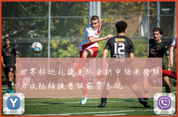 世界杯巡礼捷克队分析中场老将助力攻防转换晋级前景乐观